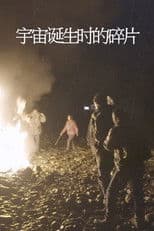 Fragments from the Birth of the Universe