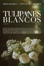 Tulipanes blancos