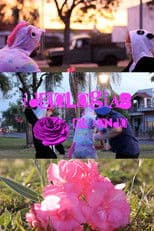 El Fondo's Ideologies