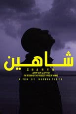 SHAHYN - THE RETURN OF THE FIERCEST TYPES OF HAWKS