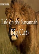 Life on the Savannah: Big Cats