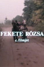 Fekete rózsa