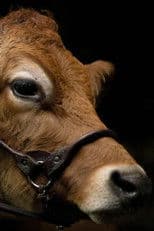 A Feeling of Home: The Making of First Cow