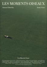 Les Moments Oiseaux