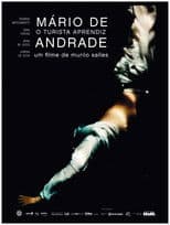 Mário de Andrade, O Turista Aprendiz