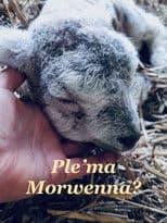 Ple'ma Morwenna?