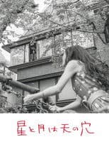 The Stars and the Moon are Holes in the Sky