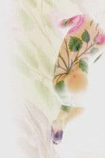 Port Saïd, Santa Cruz, Sarmad Kashani