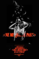 Tècnica Metamòrfica del Boqueró Il·lustrat