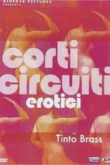 Tinto Brass presenta Corti circuiti erotici 2DVD