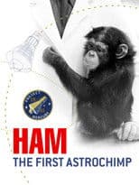 Ham: A Chimp into Space