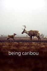 Being Caribou