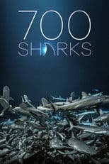 700 Sharks