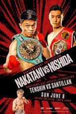 PRIME VIDEO BOXING 13