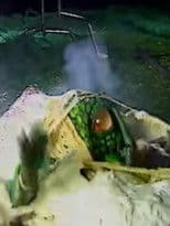 Videozone: The Making of Seedpeople