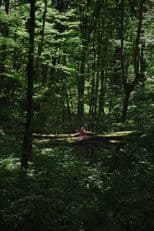 Kétoldali közelítés