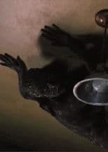 QM, I Think I'll Call Her QM