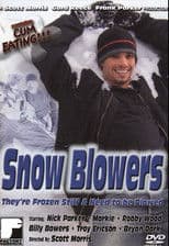 Snow Blowers