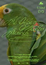 As far as the world reaches