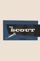 Meet the Scout