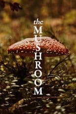 The Mushroom