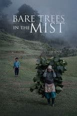 Bare Trees in the Mist