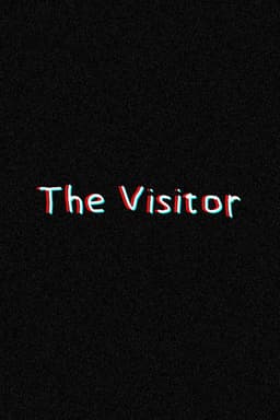 The Visitor
