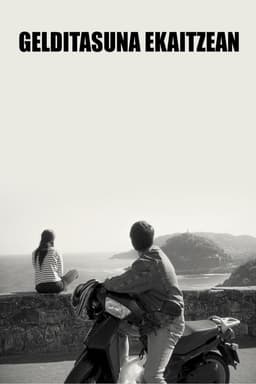 Stillness in the Storm