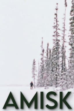 Amisk