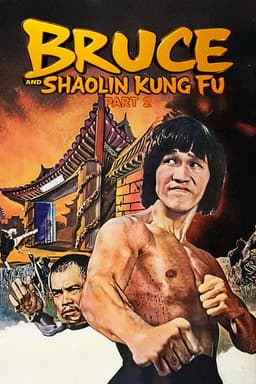 Bruce and Shaolin Kung Fu Part 2