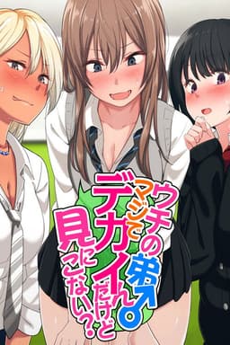 Uchi no Otouto Maji de Dekain Dakedo Mi ni Konai?