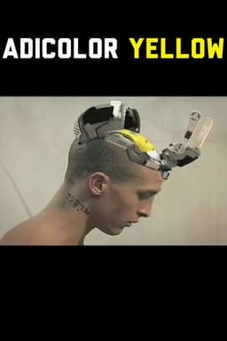 Adicolor Yellow