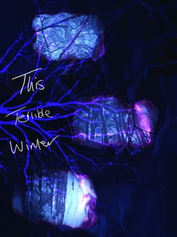 This Terrible Winter