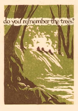 do you remember the trees?