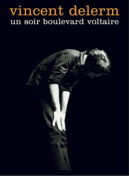 Vincent Delerm - Un soir boulevard Voltaire