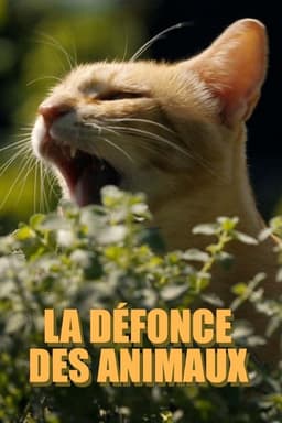 La défonce des animaux