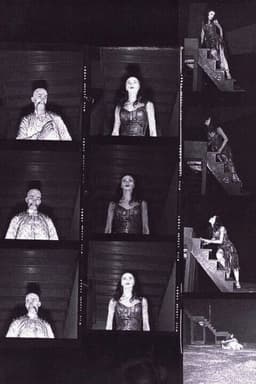 The Miraculous Mandarin