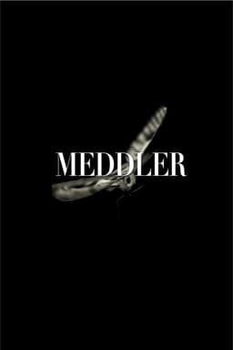 Meddler