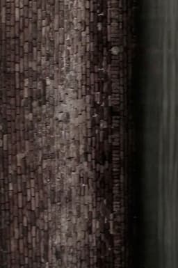 The Little White Doves