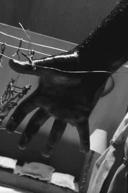 Eternal Return - PINK Edition