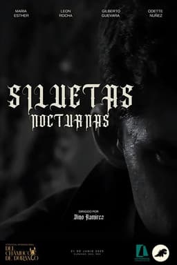 SILUETAS NOCTURNAS