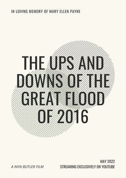 The Ups and Downs of the Great Flood of 2016