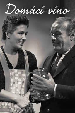 Domácí víno