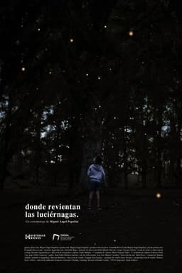 Where the fireflies burst