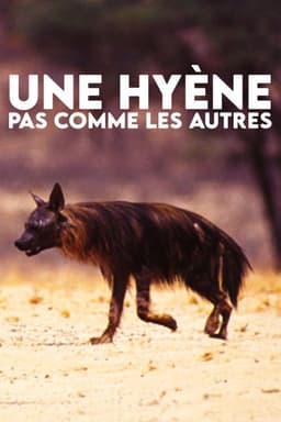 A Hyena like No Other