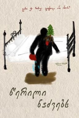 A Letter to Fir Trees