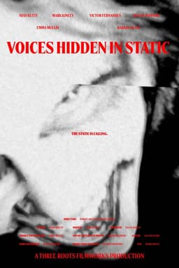 Voices Hidden in Static