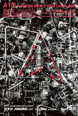 张惠妹 AMeiZING Live 2013世界巡回演唱会