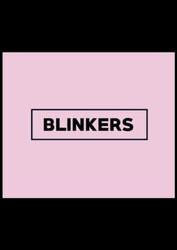 Blinkers