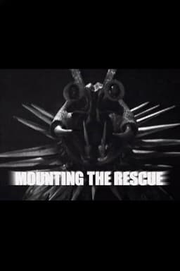 Mounting the Rescue